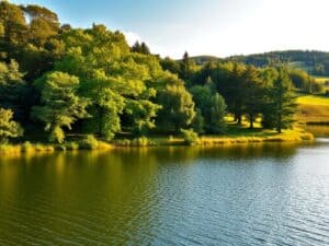 Mehr über den Artikel erfahren Boberger See – Badesee in Hamburg
