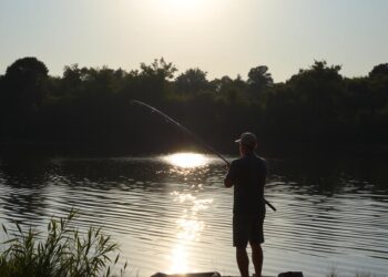 Angeln am See: Empfehlungen für Anfänger und Profis