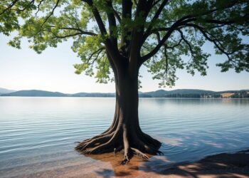 Die Schwarz-Erle am See