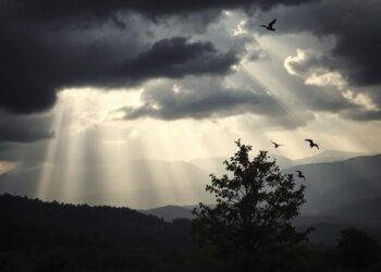 Gewittervorhersage -Wetterzeichen