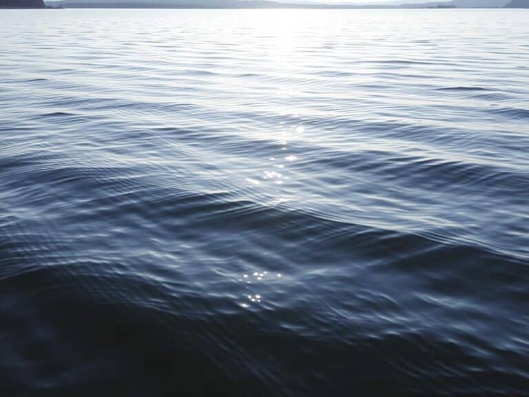 Mehr über den Artikel erfahren Die Entstehung von Wellen auf Seen – Wie Wind das Wasser bewegt