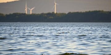 Wie sich unterschiedliche Windmuster saisonal am See verändern