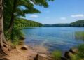 Breiter Luzin: Baden, Wandern und Natur in der Feldberger Seenlandschaft